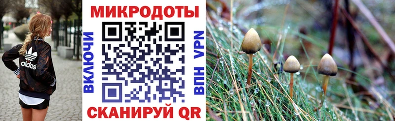 Купить закладки  Сергач  Псилоцибиновые грибы Cubensis 